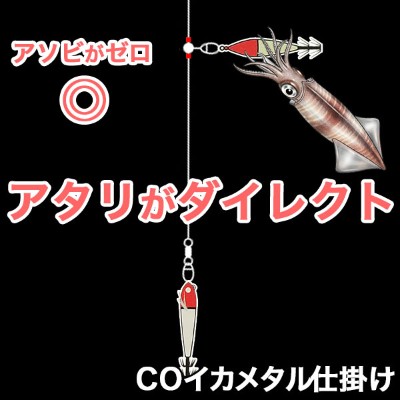 クレイジーオーシャン 最高峰イカメタル仕掛け「COイカメタル仕掛け