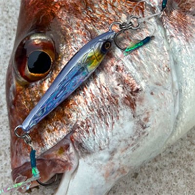 ONE THE BLUE(オンザブルー)TGポテンシャル 40g・60g・80g・100g